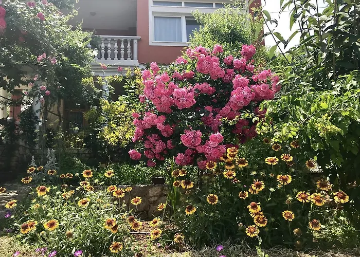 Duplex With Private Swimming Pool * プレコ