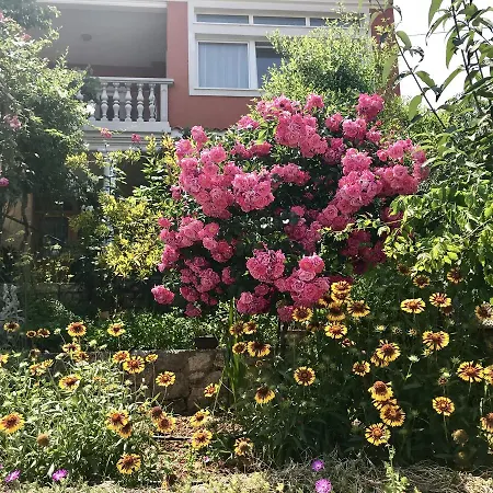 Duplex With Private Swimming Pool * プレコ